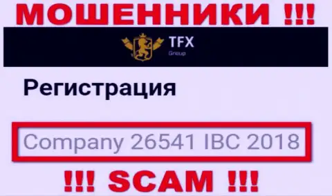 Номер регистрации, который принадлежит преступно действующей конторе TFXGroup : 26541 IBC 2018