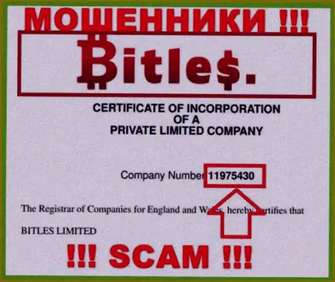 Номер регистрации internet жуликов Bitles, с которыми не стоит взаимодействовать - 11975430