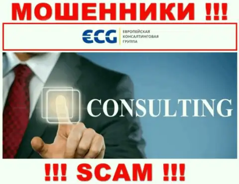 Консалтинг - это тип деятельности жульнической компании EC-Group Com Ua