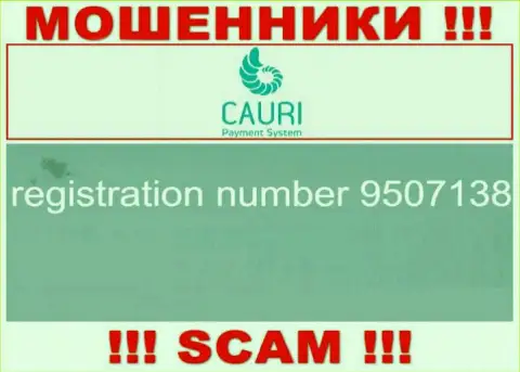 Регистрационный номер, принадлежащий мошеннической организации Каури: 9507138