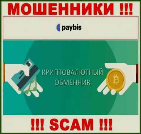Crypto exchanger - это сфера деятельности жульнической конторы Paybis LTD