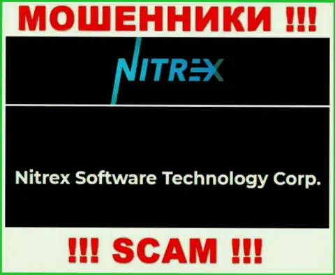 Сомнительная контора Нитрекс принадлежит такой же скользкой компании Nitrex Software Technology Corp