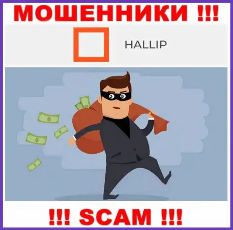 Сотрудничая с Hallip Com Вы не заработаете ни рубля - не вносите дополнительно деньги