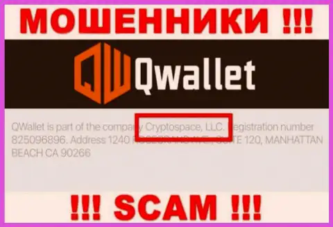 На официальном ресурсе Q Wallet отмечено, что данной организацией руководит Cryptospace LLC
