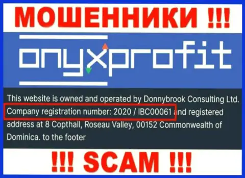 Рег. номер, который присвоен организации OnyxProfit Pro - 2020 / IBC00061