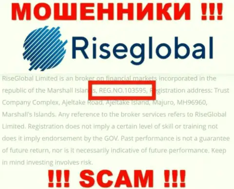 Номер регистрации RiseGlobal Us, который аферисты предоставили у себя на веб странице: 103595