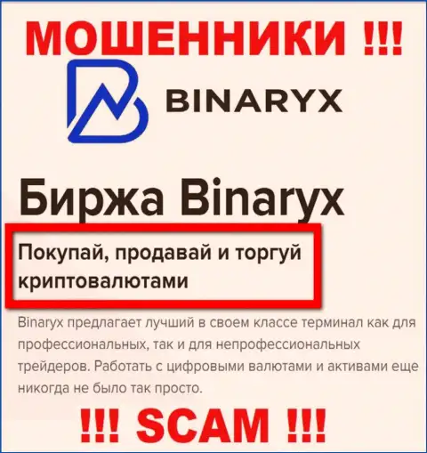 Осторожно !!! Binaryx - это явно internet-воры ! Их деятельность противозаконна