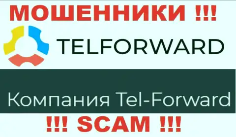 Юридическое лицо TelForward - это Тел-Форвард, именно такую инфу расположили мошенники у себя на сайте