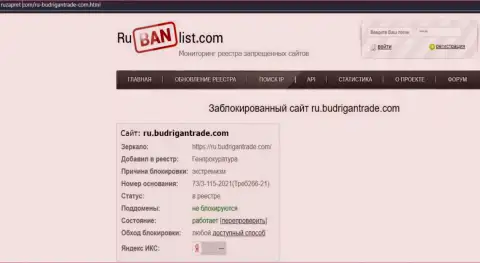 Онлайн-сервис Budrigan Ltd в пределах Российской Федерации был заблокирован Генеральной прокуратурой