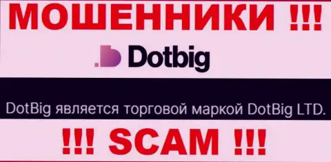 ДотБиг ЛТД - юридическое лицо интернет-мошенников компания DotBig LTD