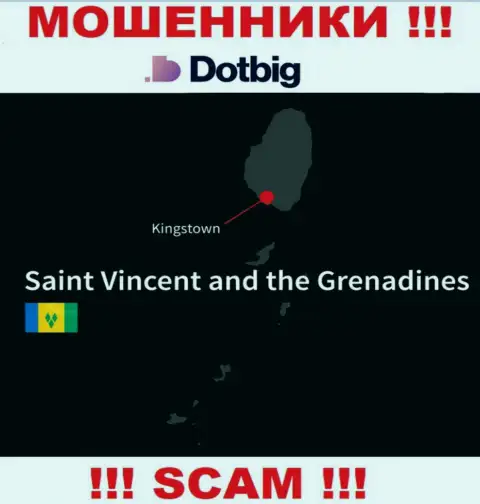 ДотБиг имеют офшорную регистрацию: Kingstown, St. Vincent and the Grenadines - будьте очень внимательны, мошенники