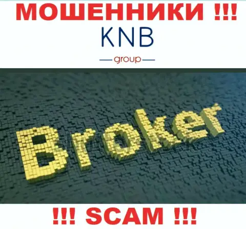 Область деятельности преступно действующей компании KNB Group Limited это Брокер