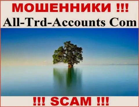 All Trd Accounts отжимают финансовые средства и остаются без наказания - они прячут сведения о юрисдикции