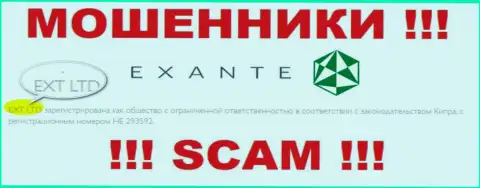 Организацией ЕКСАНТЕ руководит XNT LTD - сведения с официального web-ресурса воров