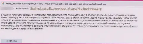 Создатель честного отзыва сообщает, что BudgetInvest Org - это МОШЕННИКИ ! Иметь дело с которыми слишком опасно