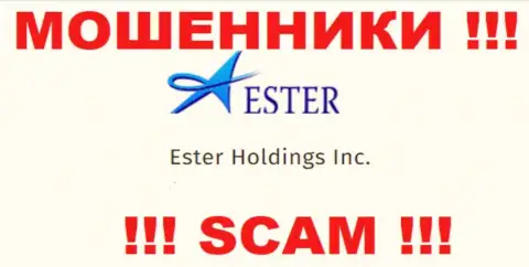 Инфа об юридическом лице интернет-лохотронщиков Ester Holdings
