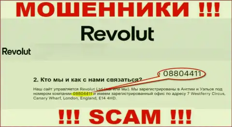 Будьте осторожны, присутствие номера регистрации у компании Revolut (08804411) может оказаться приманкой