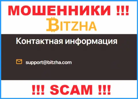 Е-майл лохотрона Bitzha24 Com, информация с официального сайта