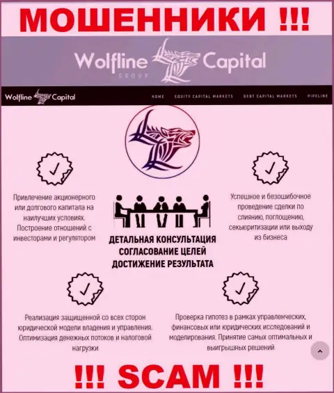 Не стоит верить, что сфера деятельности Wolfline Capital - Финансовый консалтинг легальна - это обман