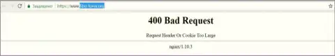 Официальный веб-сервис forex дилера Фибо Груп некоторое количество суток вне доступа и показывает - 400 Bad Request (ошибка)