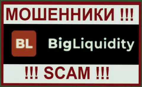Big Liquidity - это МОШЕННИКИ ! SCAM !!!